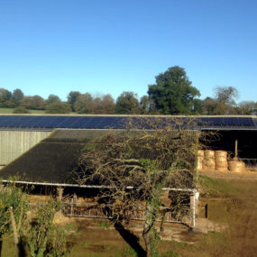 Inno watt energie pose de panneau photovoltaique mayenne exploitation agricole