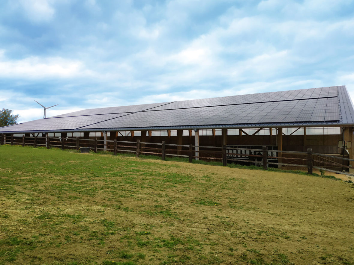 panneau photovoltaique manège à chevaux mayenne