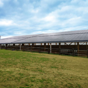 panneau photovoltaique manège à chevaux mayenne